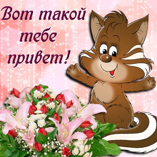 И снова здрасте