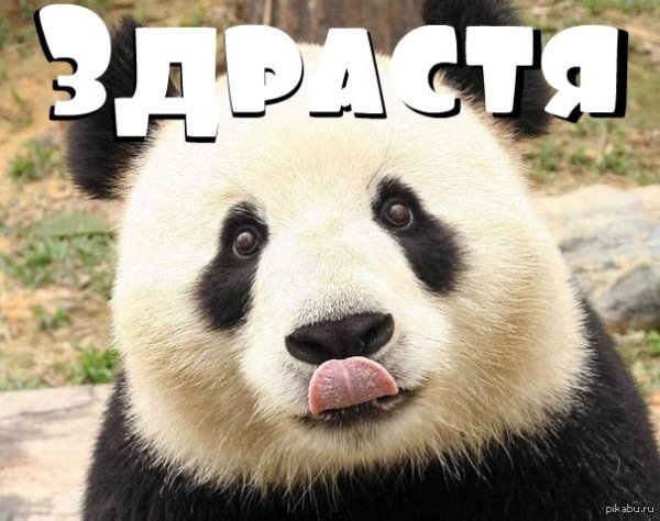 Открытки привет прикольные