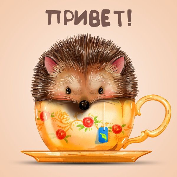 Привет Катя