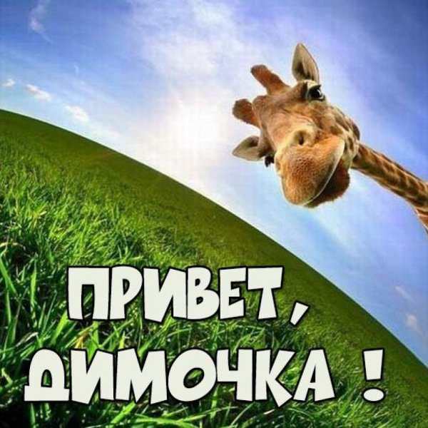 Выспались доброе утро