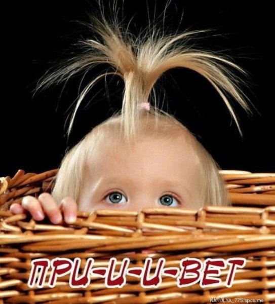 Привет прикольные