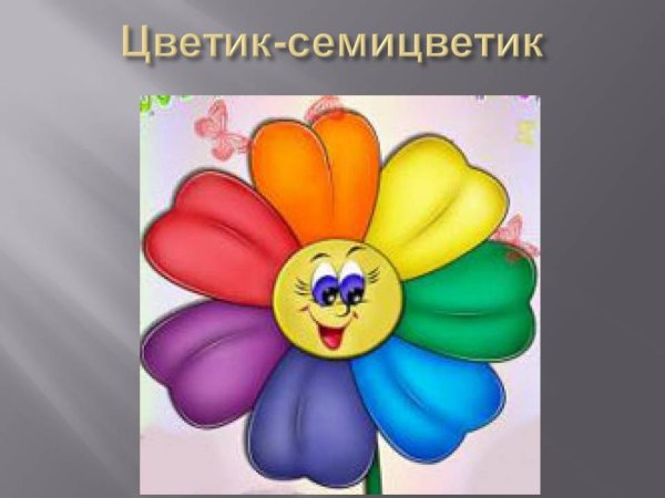 Ромашка с разноцветными лепестками