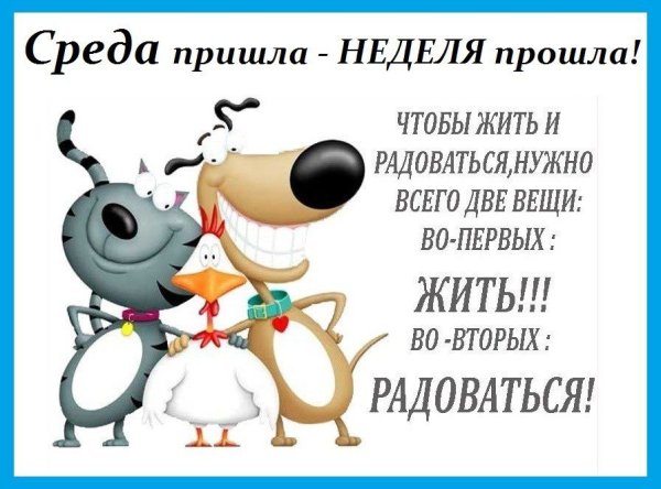 Открытки со средой прикольные