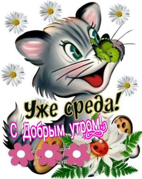 Пожелания на среду