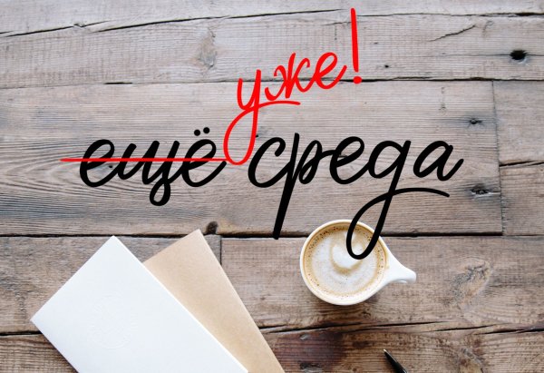 Афоризмы про среду смешные