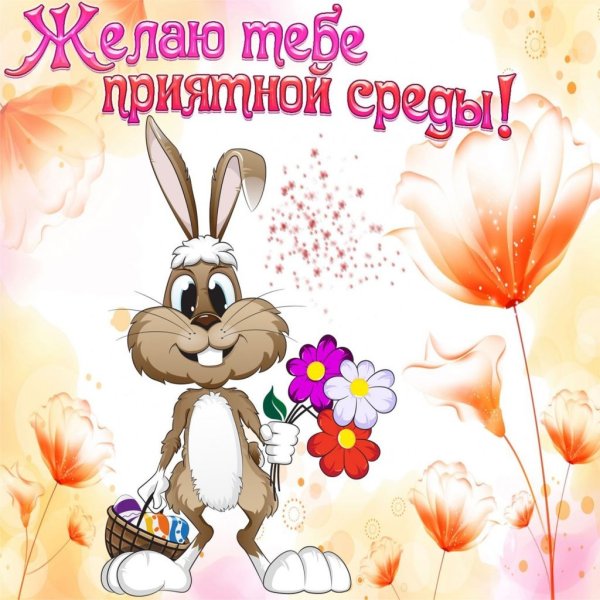 Вот и среда пришла доброе утро