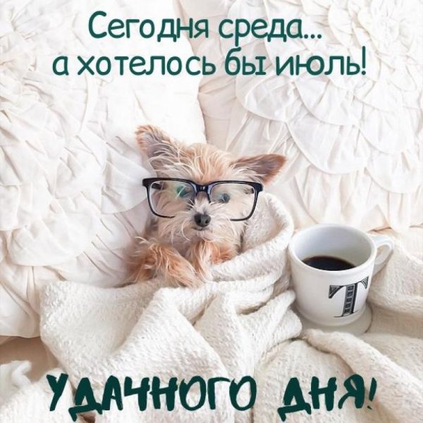 Доброе утро среда