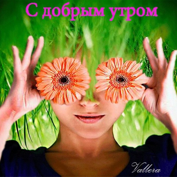 Радостных событий и доброго утра