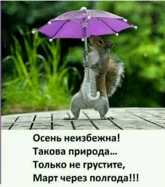 Красивые поздравления со средой