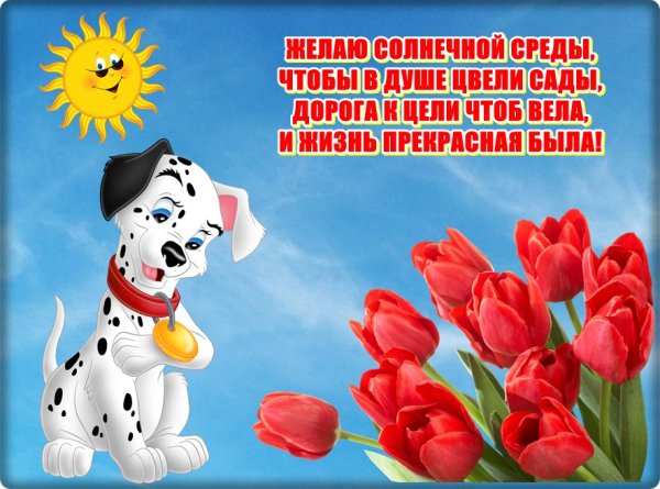 Доброе утро среда котики