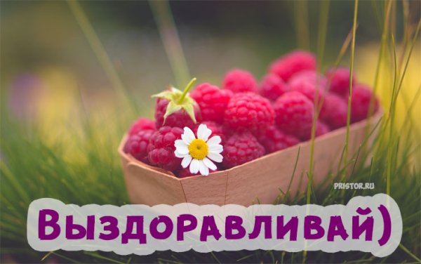 Выздоравливай скорее