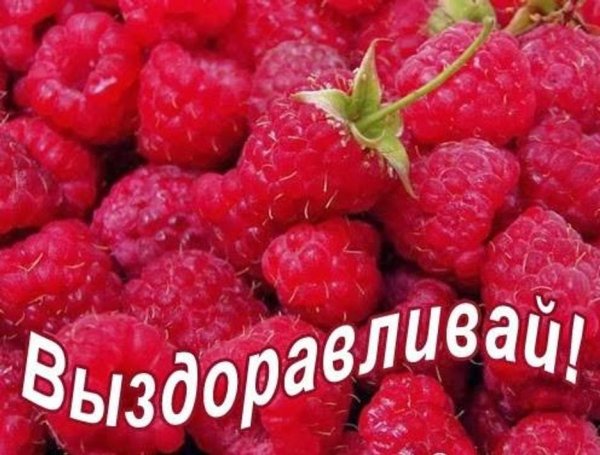 Смешная открытка поправляйся
