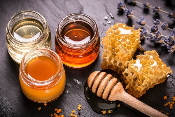 Общество медовых лизалок