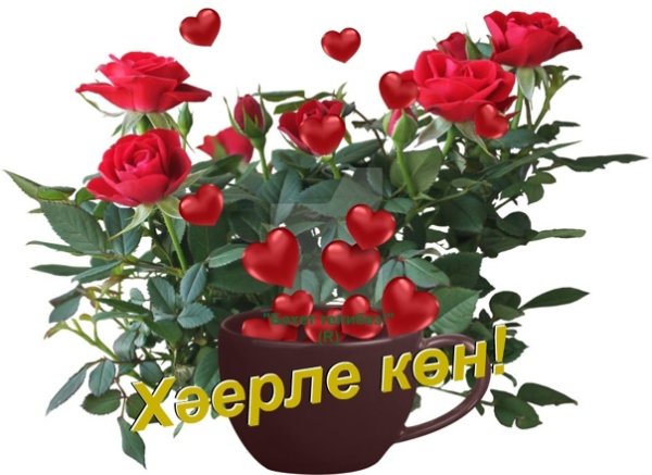 Хаерле Коннер