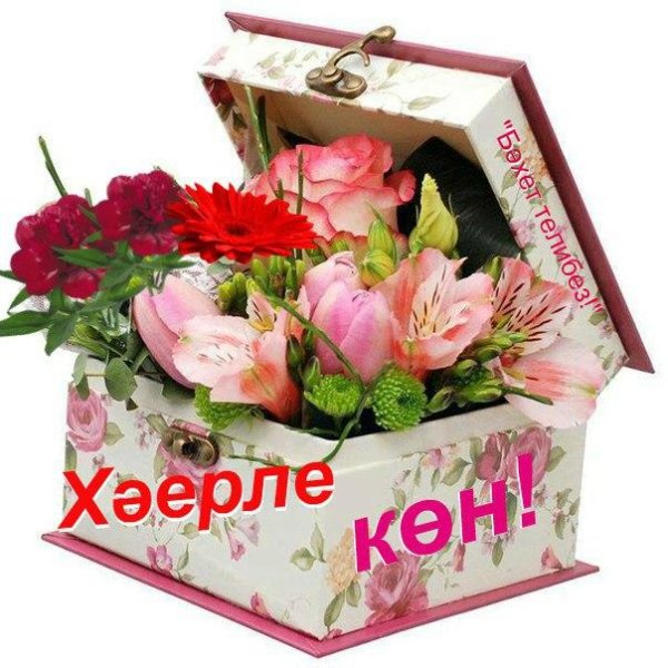 Хэерле кон Стикеры