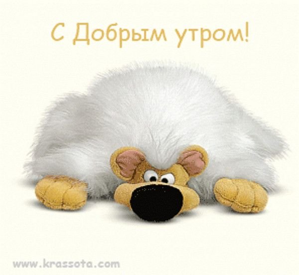 Пожелания доброго утра прикольные