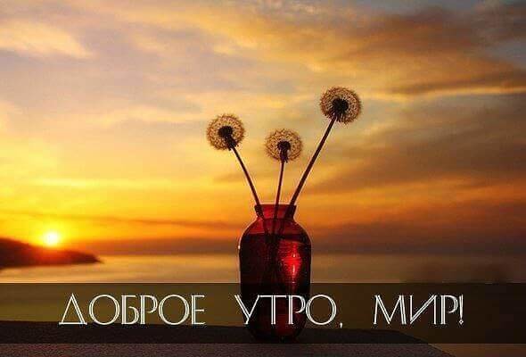Доброе утро, мир