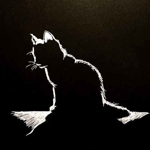 Коты силуэт