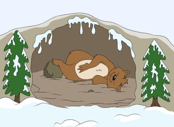 Рисование медведь в берлоге