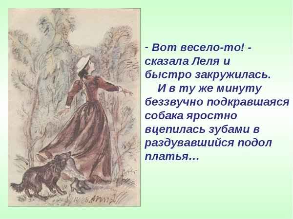 Кусака презентация