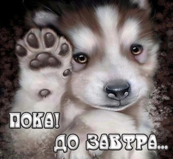 Пока спокойной ночи