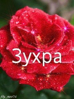 С днём рождения с именем Зухра