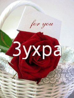 С днём рождения Зухра