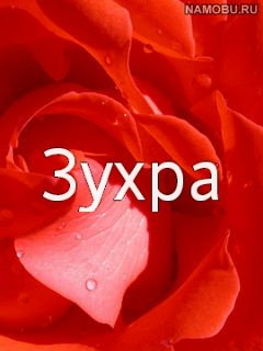 С днём рождения зухрош