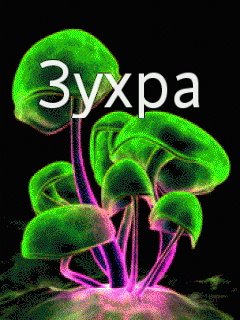 Зухра открытка