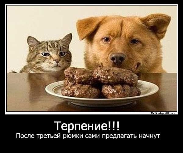 Терпение картинки