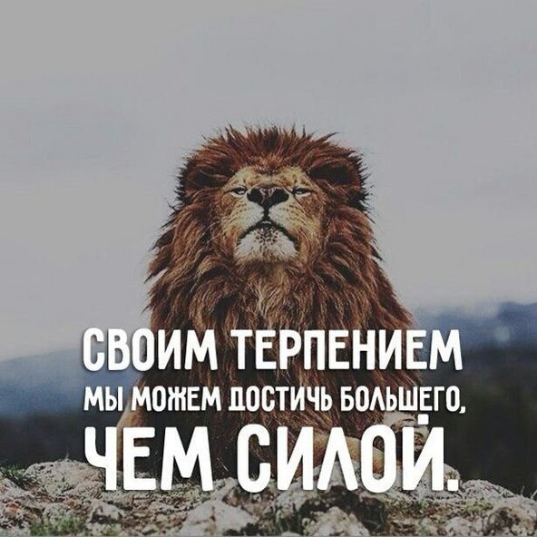 Терпение картинки