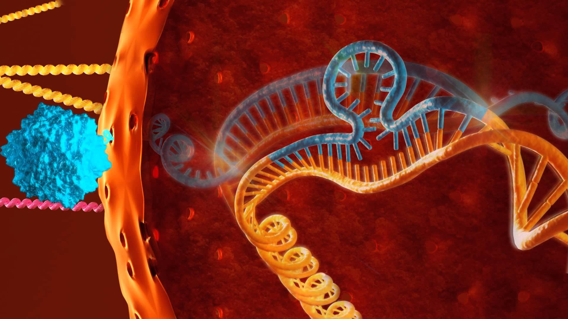 Геномные рнк. Вирус ВИЧ встраивается в ДНК. ДНК геномные онковрусы. Клетка ДНК. Мутации в геноме человека.