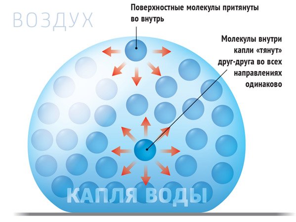 Строение жидкости поверхностное натяжение
