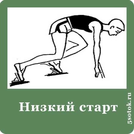 Техника бега на короткие дистанции в легкой атлетике