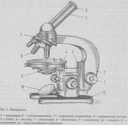 Схема светового микроскопа