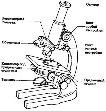 Строение светового микроскопа схема