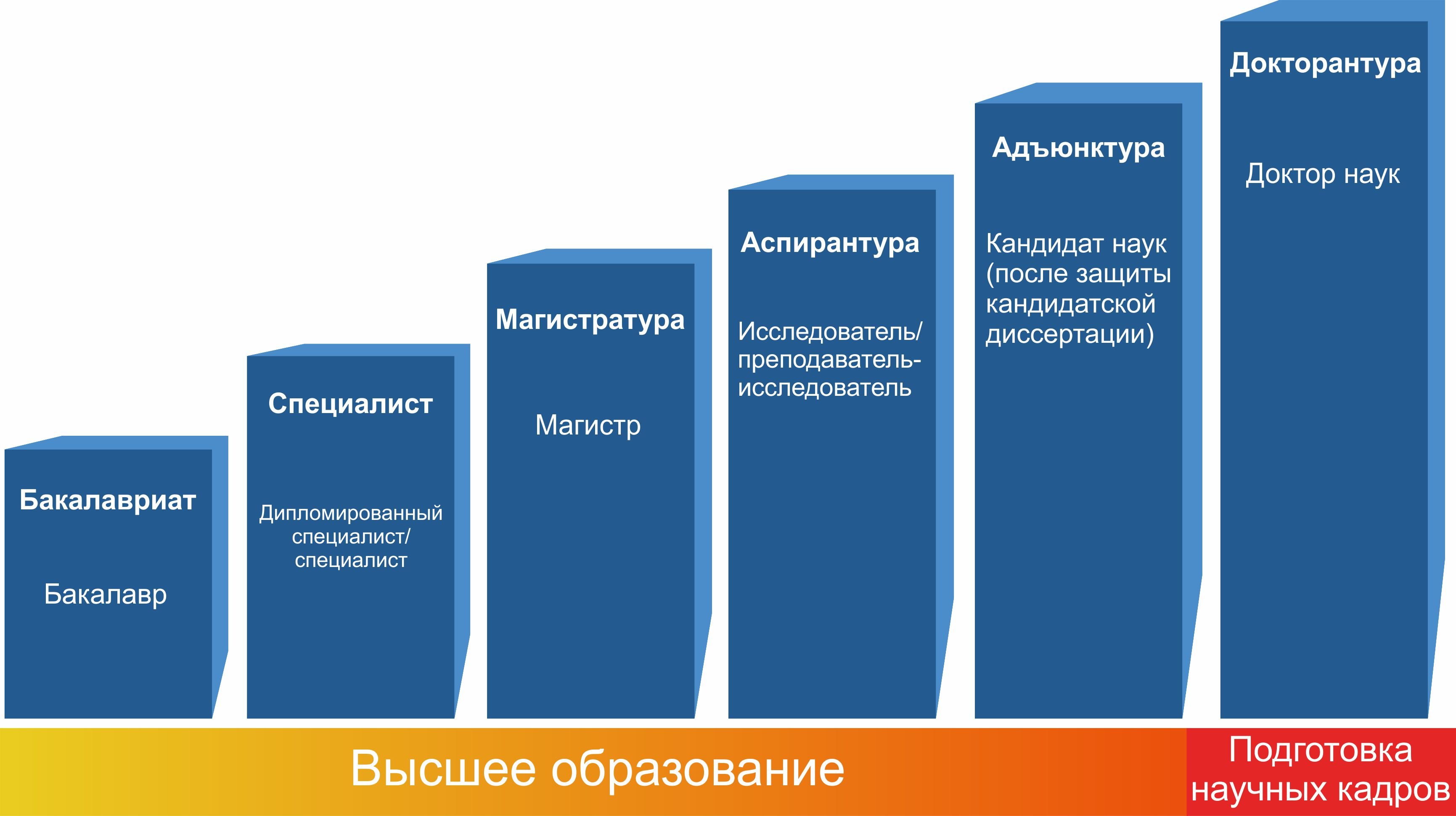 После 1 какая. Структура высшего образования. Структура высшего образования в РФ. Ступени высшего образования. Ступени Высш образования.