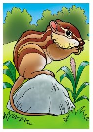 Бурундук рисунок