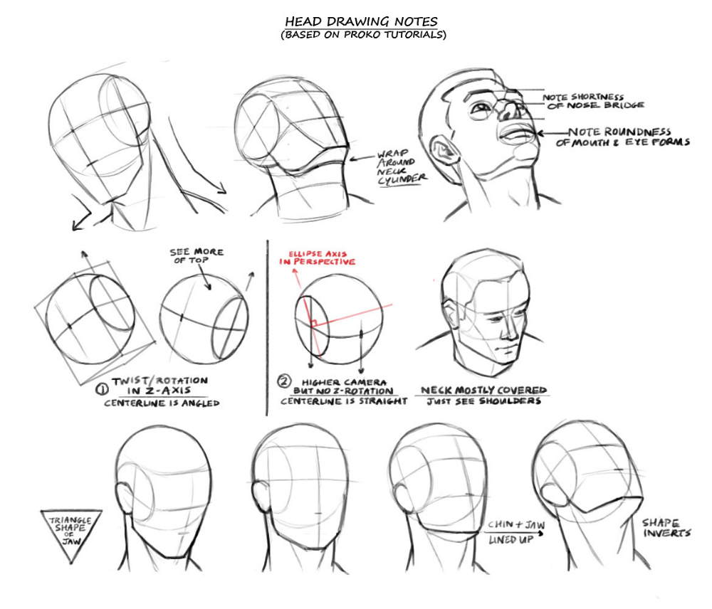 Позы головы человека. Рисование головы в разных ракурсах. Форма головы для рисования. Ракурсы головы для рисования. Рисунок головы человека в разных ракурсах.