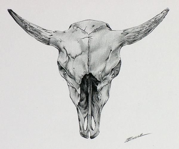 Череп коровы