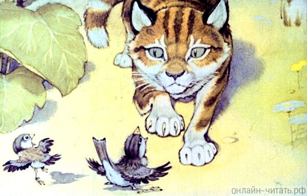 Горький м. "Воробьишко"