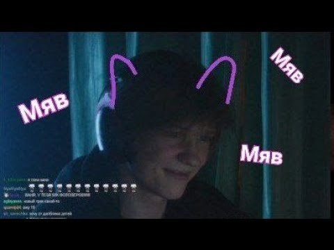 Дипинс 2022