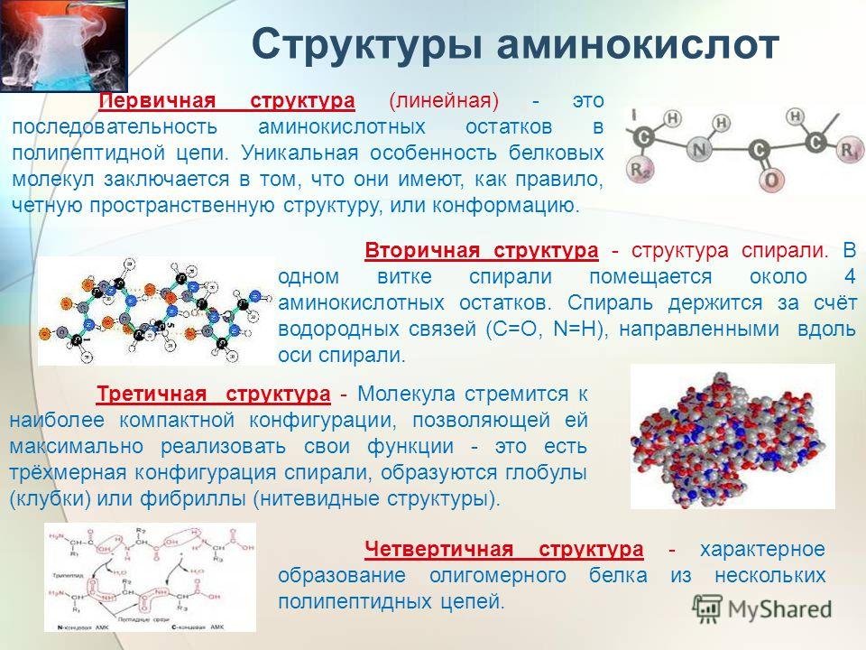 Химическое соединение представляет собой. Первичная структура белка аминокислоты. Структурное строение аминокислот. Химическое строение аминокислот. Белки и аминокислоты структура и функции.