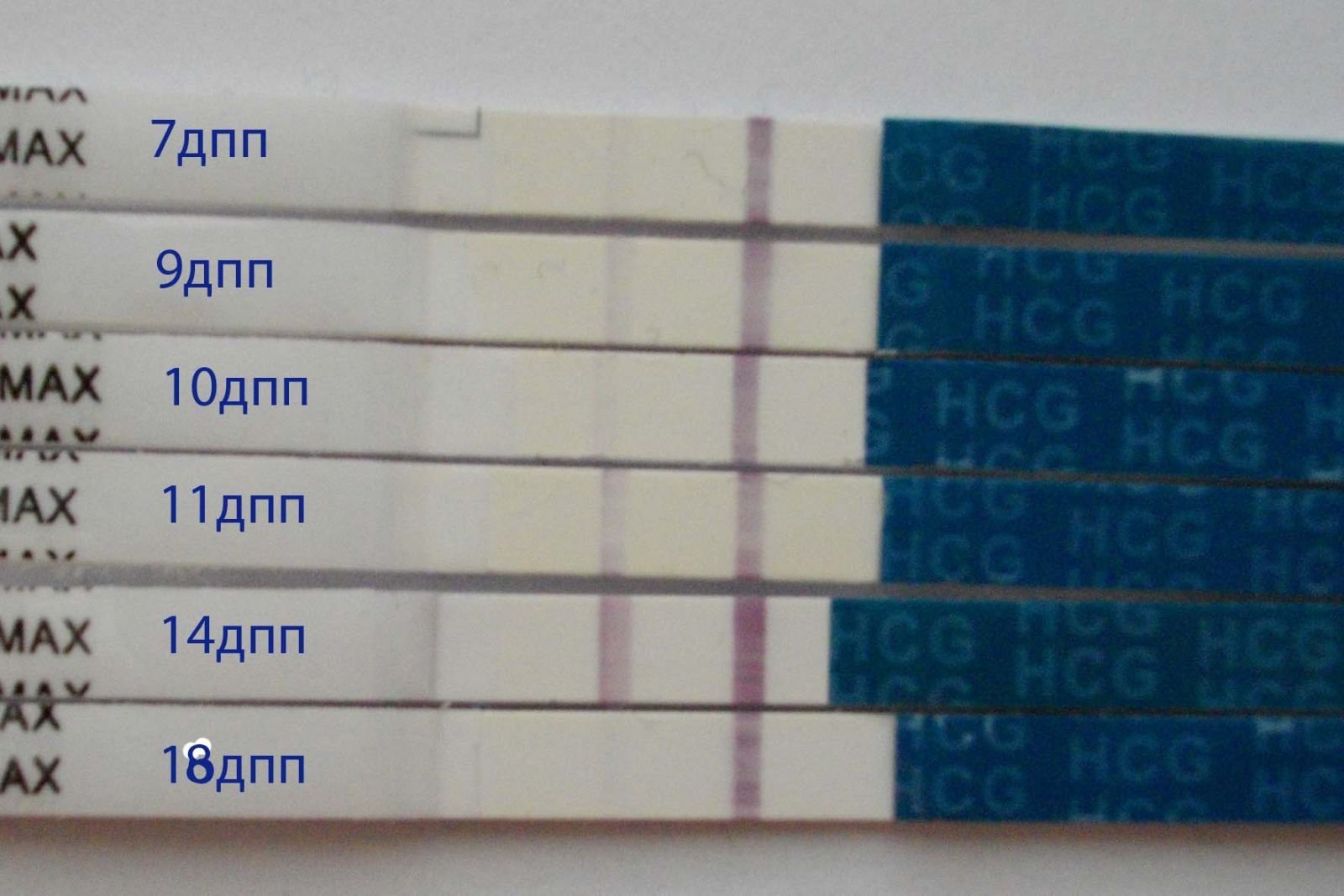 10 день криопереноса. Тесты после подсадки эмбрионов. Тест на беременность после подсадки. Тест на беременность после эко. Тест на беременность после подсадки эмбрионов.