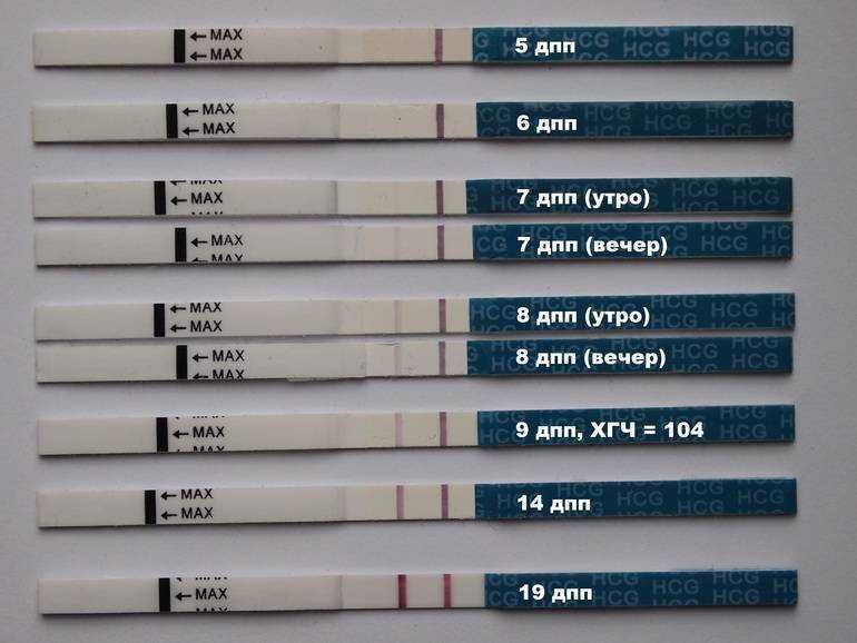 6 дпп тест форум. Тест на беременность 5 дней после подсадки. Тесты на беременность после переноса эмбрионов 5. Тест на беременность на 7 день после переноса эмбрионов. Тест на беременность после криопереноса 5.