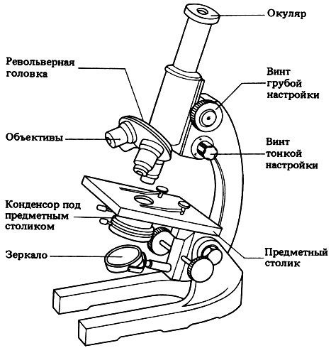 Строение светового микроскопа схема