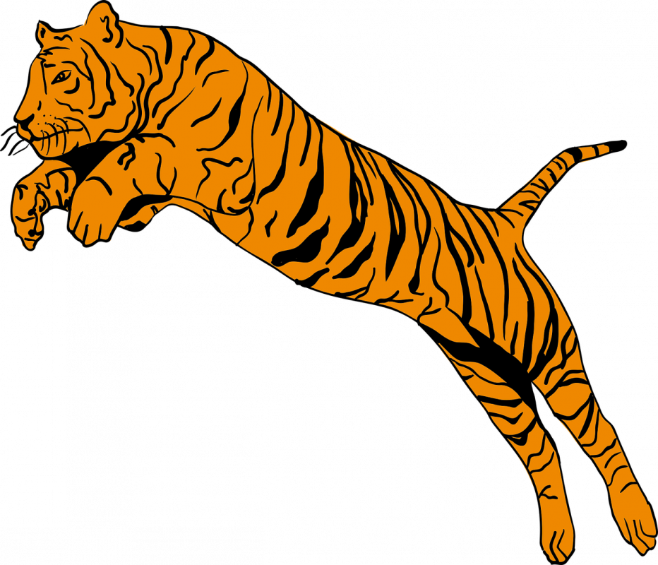 Тигр без фона. Тигр сбоку вектор. Прыжок тигра. Тигр векторное изображение. Тигр в прыжке рисунок.