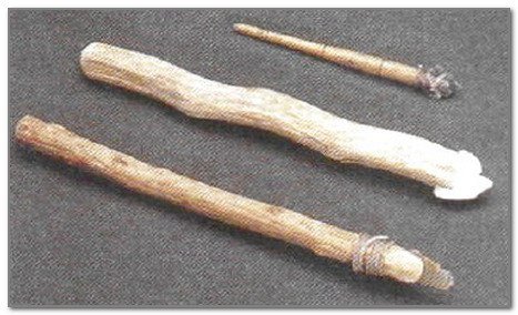 Палка копалка первобытного человека