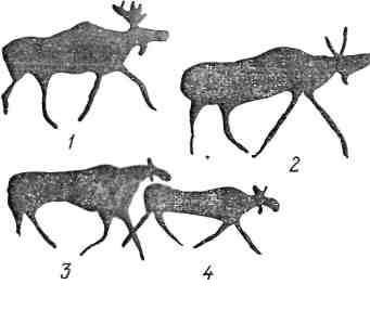 Наскальные изображения лося