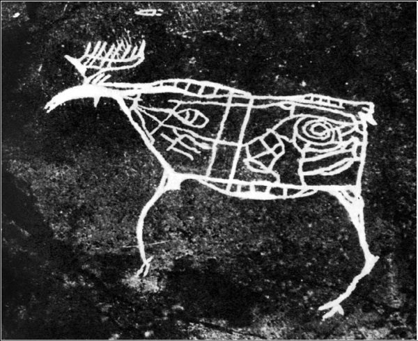 Наскальные изображения лося